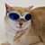 Trassy Linz's profile image