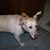 Brenda Wright's profile image