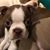 Joan Rohrbaugh Troutman's profile image