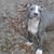 George E. Selander's profile image