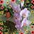 Fiona Girvan's profile image