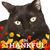 Angie Smith's profile image