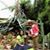 Jorge Arriaga Sandoval's profile image