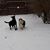 Wendy Orndorff's profile image