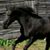 Elaine Binhack Smith's profile image