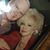 Donna Weise's profile image