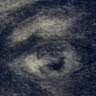 Jani L.'s profile image