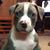Jeff Berneski's profile image