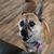 Tammy Lynn Hayes's profile image