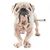 Denise Kenitzer's profile image