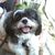 Ginny Cooper Hanily's profile image