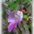 Jennifer Scharte-Landrine's profile image