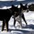 Kathy Harris's profile image