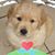 Sydney Ann Clark Waller's profile image