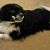Kathy Meninger's profile image