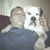 Bill Varana's profile image