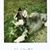 Renee Bricker's profile image
