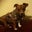 Velma Lenox's profile image