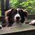Carol Nottenburg's profile image