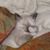Donna E. Shaw's profile image