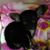 Chuck Clarke's profile image