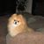Bettina Flowe's profile image