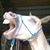 Ellen Taylor's profile image
