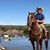 Matt del Pino's profile image