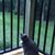 Corinne Vilar Thomas's profile image