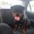 Michelle Peck Rhoton's profile image