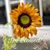 Myric Mcswain's profile image