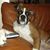 Richard Berger's profile image