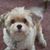 Bob Latimer's profile image