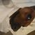 Sandra Mosley Erwin's profile image
