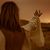 Antonella Pitarresi's profile image