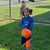 Faith Humeston's profile image