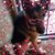 Debbie Kraimer's profile image