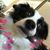 Teresa Kirtley Gearhart's profile image
