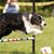 Denise Koster's profile image