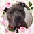 Pamela Manke's profile image