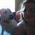Adrienna Beaven Mayes's profile image