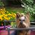 Kay Mills Wallace's profile image