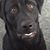 Tina Godbe's profile image