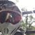Nicholas Thies's profile image