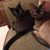 Dorene Catchino-Latte's profile image