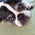 Kristin Borchardt Neises's profile image