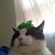 Kelly Shugrue's profile image