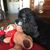 Daphne Wilcox's profile image