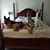 Joanne Sturm Bradley's profile image