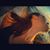 Guida Fialho's profile image